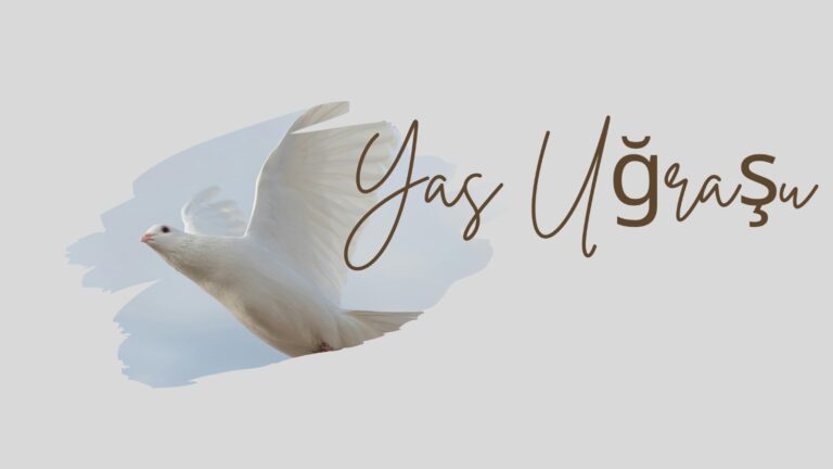 whatsapp image 2026 02 10 at 20.05.43 2