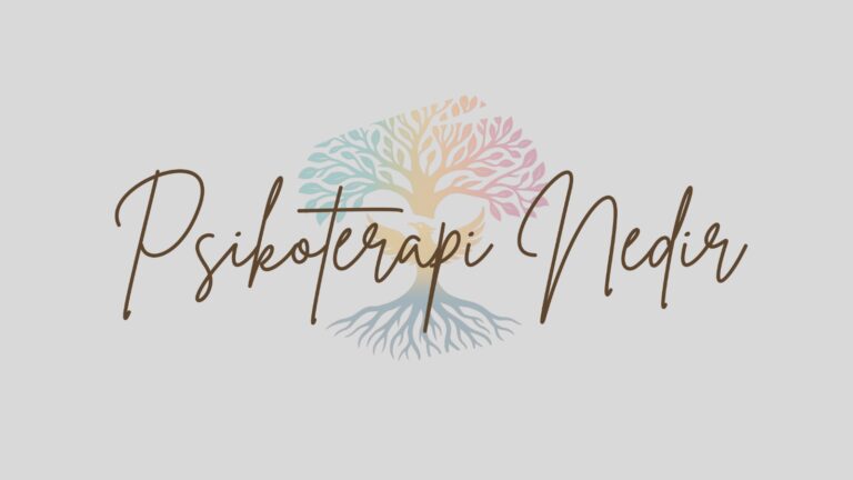 whatsapp image 2026 02 10 at 20.05.43 3